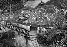 Client giving it to the tattoo artist