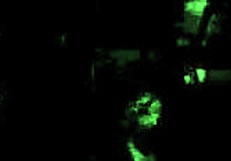 Vintage Erotic Illustration