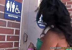 Wow, busty kerry louise sucks huge black dick at gloryhole!