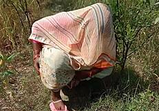 देसी भाभी की जंगल मे चुदाई
