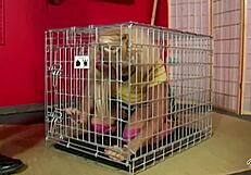 Dominating Scott Rhodes Makes Maxine X Suck His Huge Cock