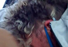 car head in gay encounter