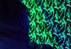 Babysitter shares sensual homemade moment with couple