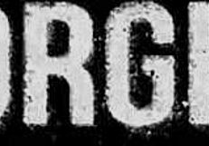 हॉर्नी हंक्स वाइल्ड ऑर्गी में ईगर बॉटम की हंट करते हैं