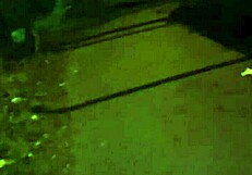 cracky says, 'oh no, i forgot the dildo in my pussy'