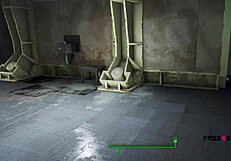 Fallout 4 gay sex scene with blowjob and nude girl!