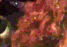 have you seen this best blowjob with mouthful cumshot?