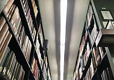 Is Pussy Worship and Pissing Your Kink?