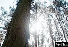 Sexy Blonde and Hot Brunette Kiss in Forest Before Indoor Intimacy