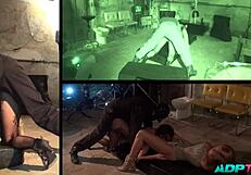 el puño hasta el fondo in wild group action story