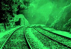 Vintage erotic drawings collection