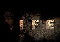 Vintage erotic drawings collection