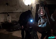 el puño hasta el fondo in wild group action story