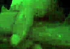 Anal Only Big Booty Electra Raynes Shocking Anal Creampie