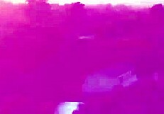 Carter Woods Bends Over For Nico Coopa