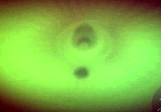 Mingrad 06 - Overwatch Big Tits in Wild Porn Story