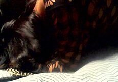 is young chubby tiff getting doggystyled with big tits?