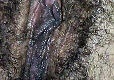 I'm sucking that wet hairy pussy