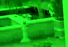 i'm a european beauty playing with my dildo outdoors to orgasm