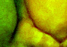 Homemade amateur couple fucks with big clit intensity