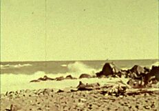 Retro Orgy Night Unveils Secrets of Moorish Harem