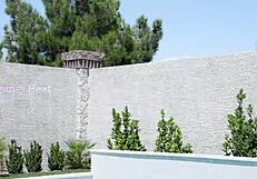 Doggystyle Fucking Tight Pussy