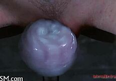 babe acquires lusty pussy prodding from rough fucking