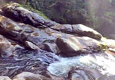 Brazilian Pornstars Engage in Double Penetration Blowjob at Brides' Veil Waterfall!