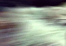 Brazilian Pornstars Engage in Double Penetration Blowjob at Brides' Veil Waterfall!