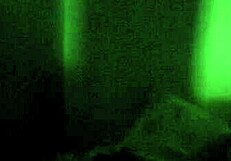 latina stepmom shares bed for movie