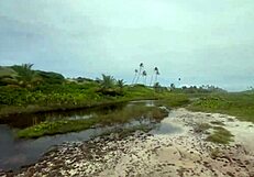 fui na praia de nudismo com gostosas gravando putaria total