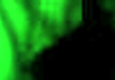 Mi Prima Me Pide Disculpas Chupando Mi Polla Y Le Termino Rompiendo El Culo