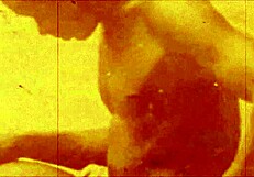 Dark Lantern: Stepmothers' Sins in Vintage Erotic Confessions.