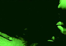 Dark Lantern: Stepmothers' Sins in Vintage Erotic Confessions.