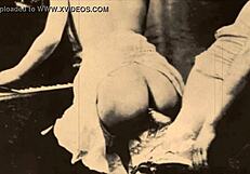 Dark Lantern: Stepmothers' Sins in Vintage Erotic Confessions.