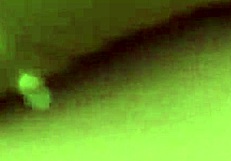 छोटी सौतेली बेटी की टाइट चूत में सौतेले पापा से क्रीमपाई