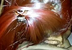 vietnamese amateur girl performs blowjob and sex