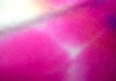 fucking MY LATINA FRIEND MONI IN THE ASS AND SUCKING HER SHITTER