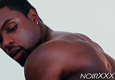 stallion deangelo jackson ravages ass with thick bbc