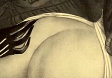 vintage erotic drawings collection