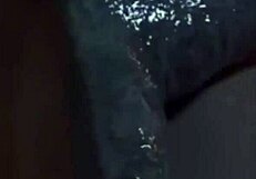 Hey, check this wild Resident Evil monster fucking in cartoon hentai!