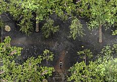 Complete Gameplay Of Lust Epidemic Part 15