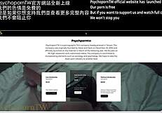 i had my first threesome with white and asian cocks, it was amazing