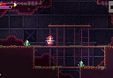 want to see futanari blowjob in caves?