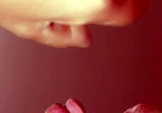 Despu�s De La Fiesta Historia Porno Follando Y Mamando Hasta La �ltima Gota