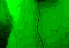 Unwrapping a huge christmas surprise