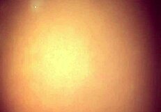 old pot-bellied man pounds young beauty hard