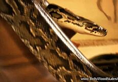 oriental babe showin’ her sexy moves to ya