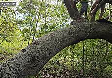 i just use my kindness to get help in tough spots