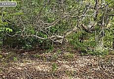 i just use my kindness to get help in tough spots